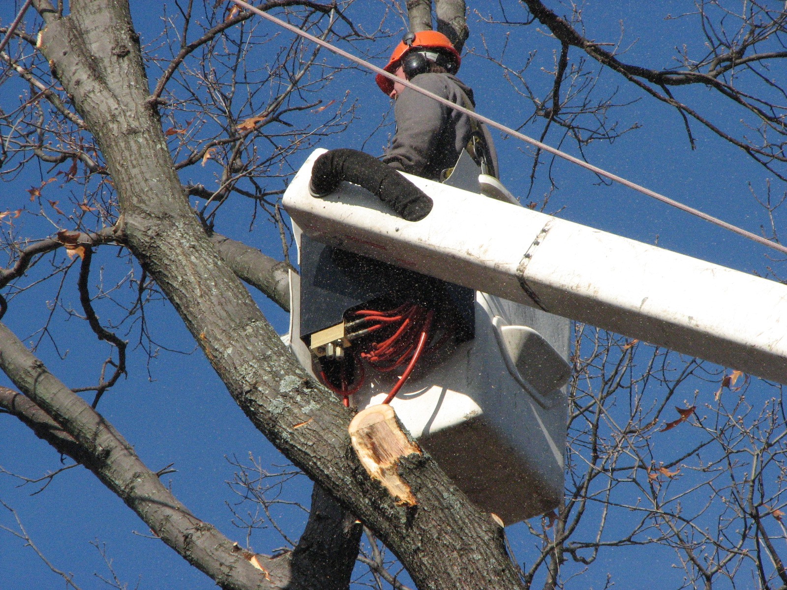 Ernie's Tree Service