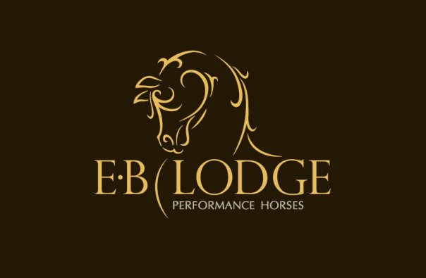 Team EBL is still on a high... - E.B.Lodge Performance Horses | Facebook