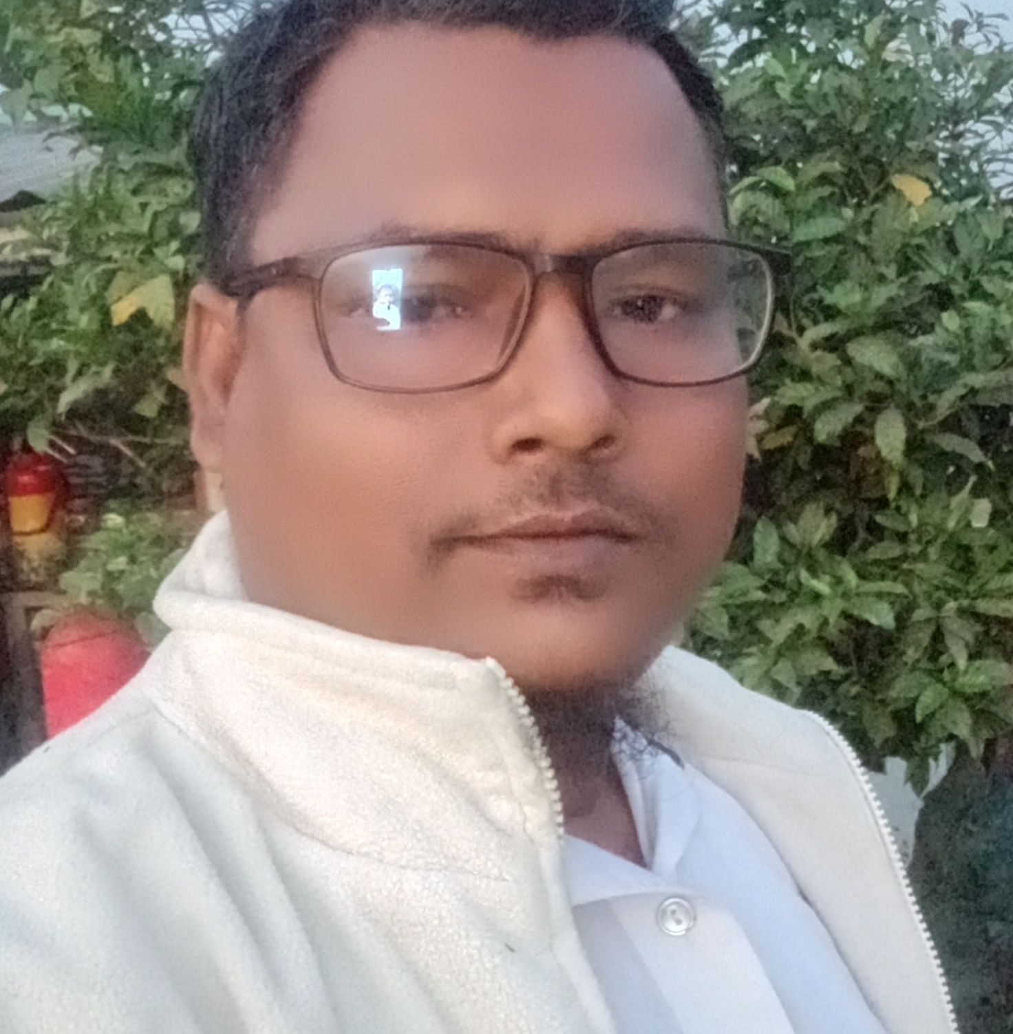মাসুদ ভাই 2.0