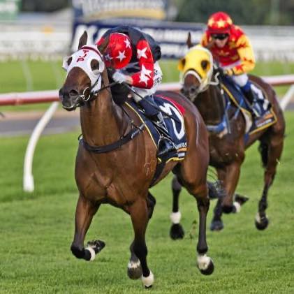 Troy Pascoe Racing | Toowoomba QLD