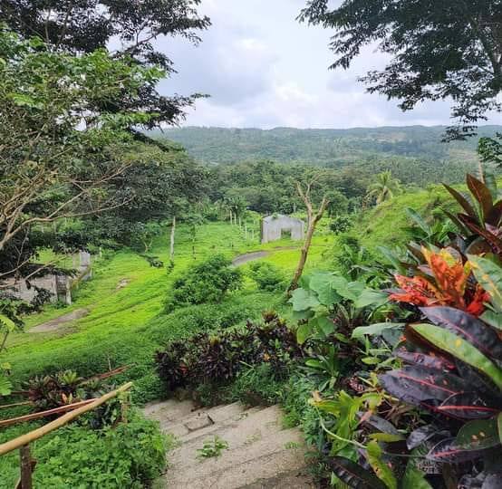 Farm lot in Rizal | Cainta