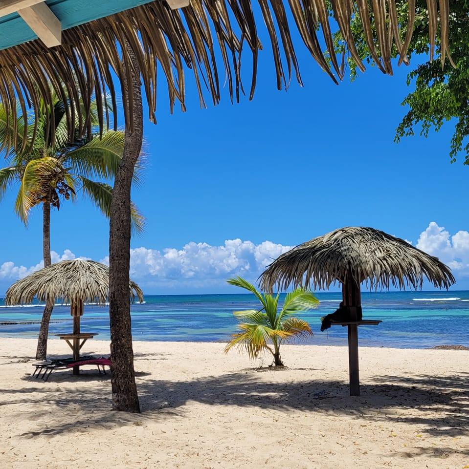 Studio Cajou Anse des rochers Guadeloupe - Saint-François | Saint ...