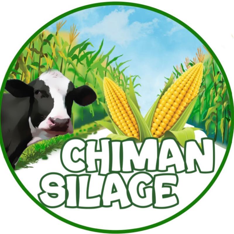 Chiman silage | Irbil