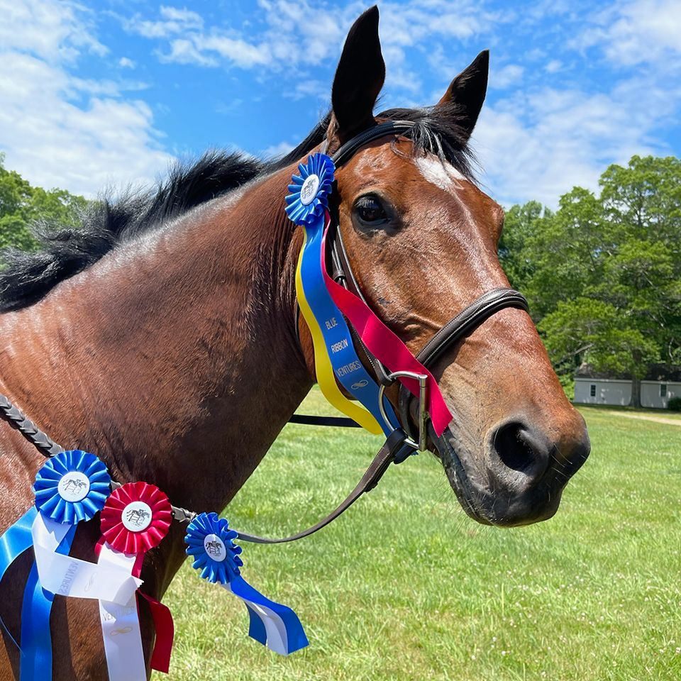 BHC Management Horse Shows | Milford CT