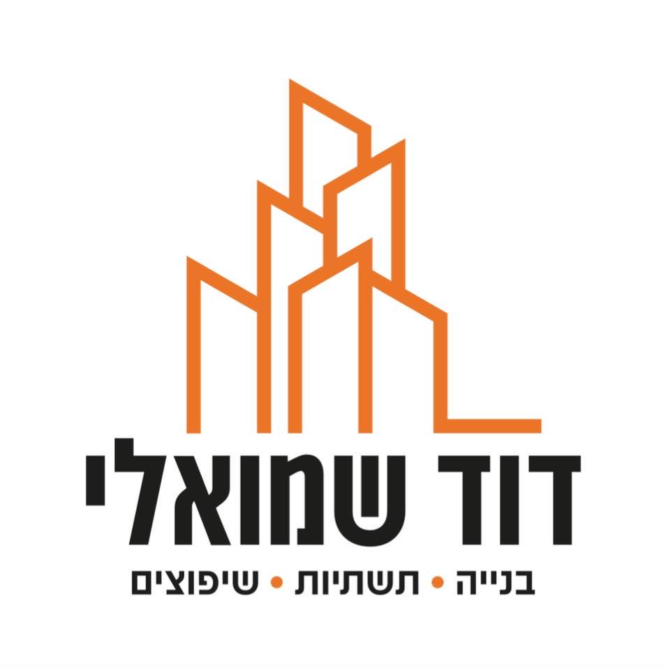 דוד שמואלי