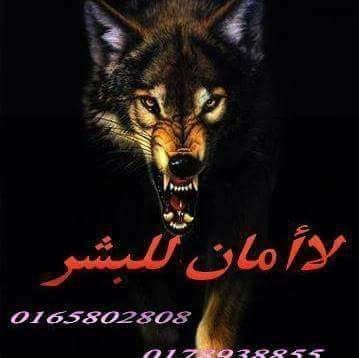 لا امان لبشر