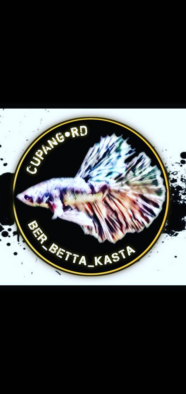 RD Betta_Kasta