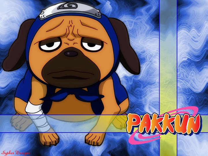 Pakkun