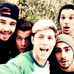 Fãs da 1D