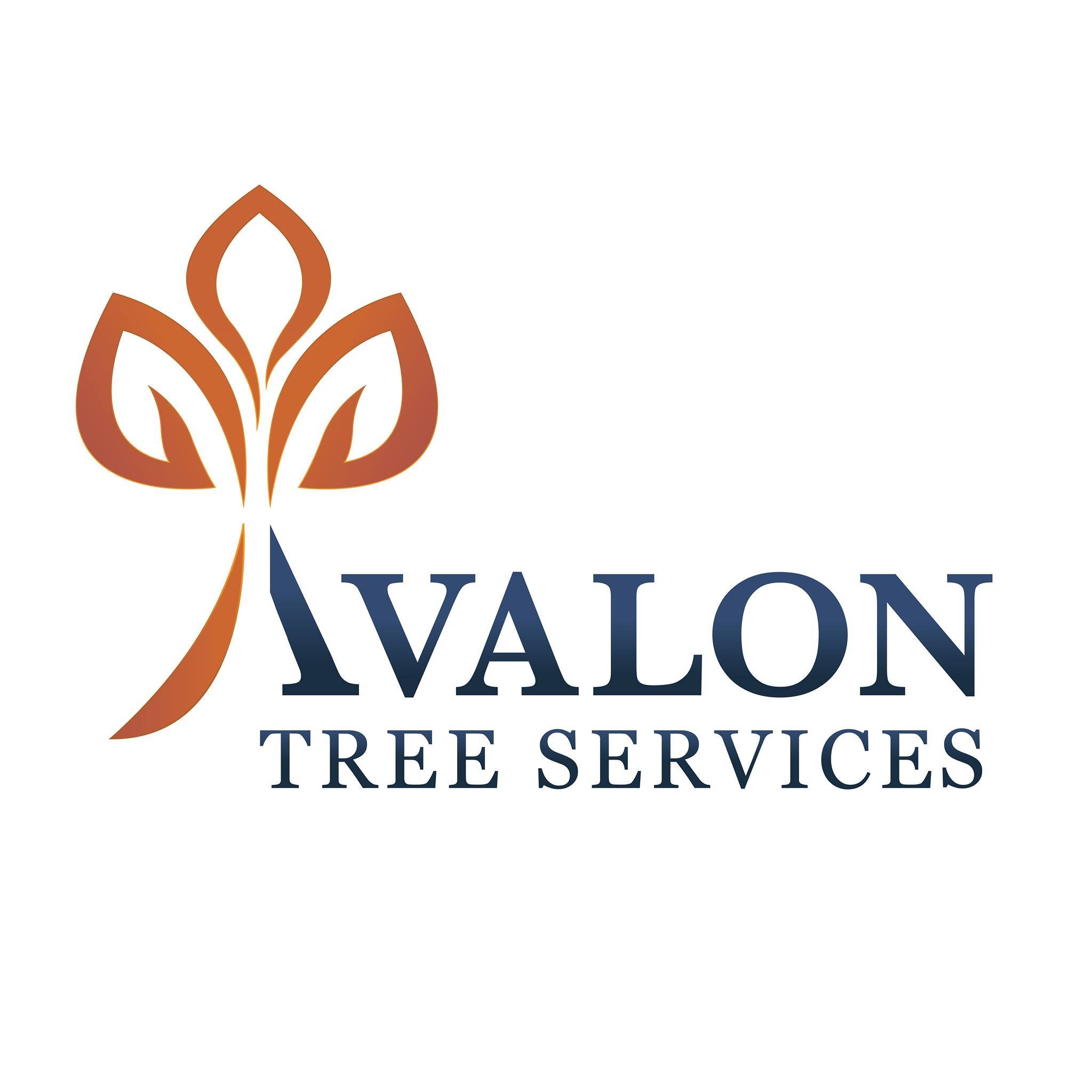 Avalon Tree Services