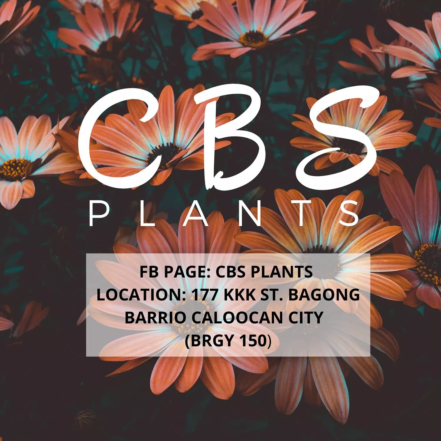 Cbs Plants