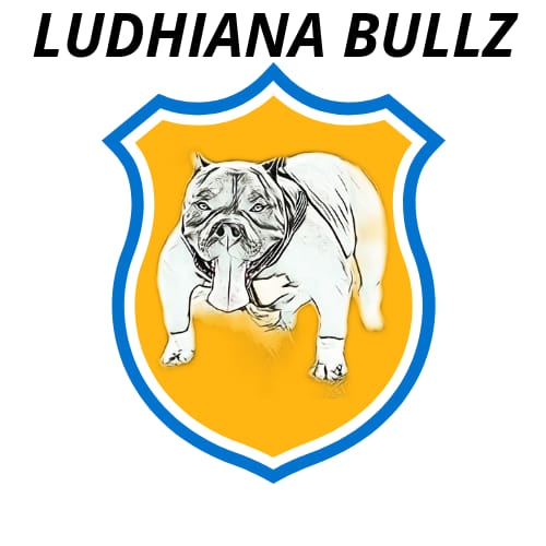 Ludhiana bullz