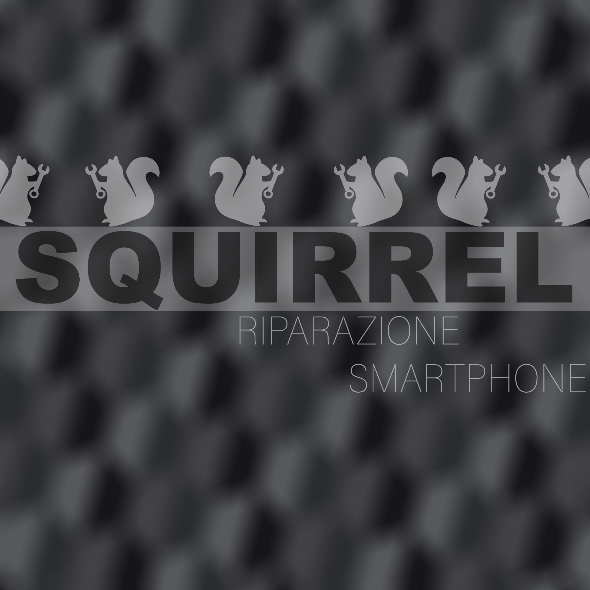 Squirrel tech | Gravina in Puglia