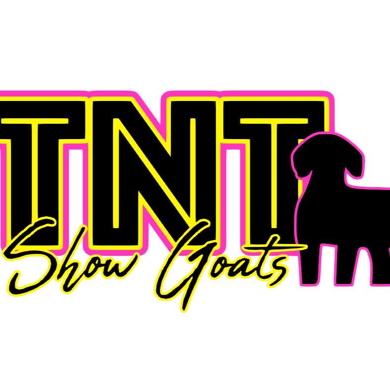 TNT Show Goats | Craig CO