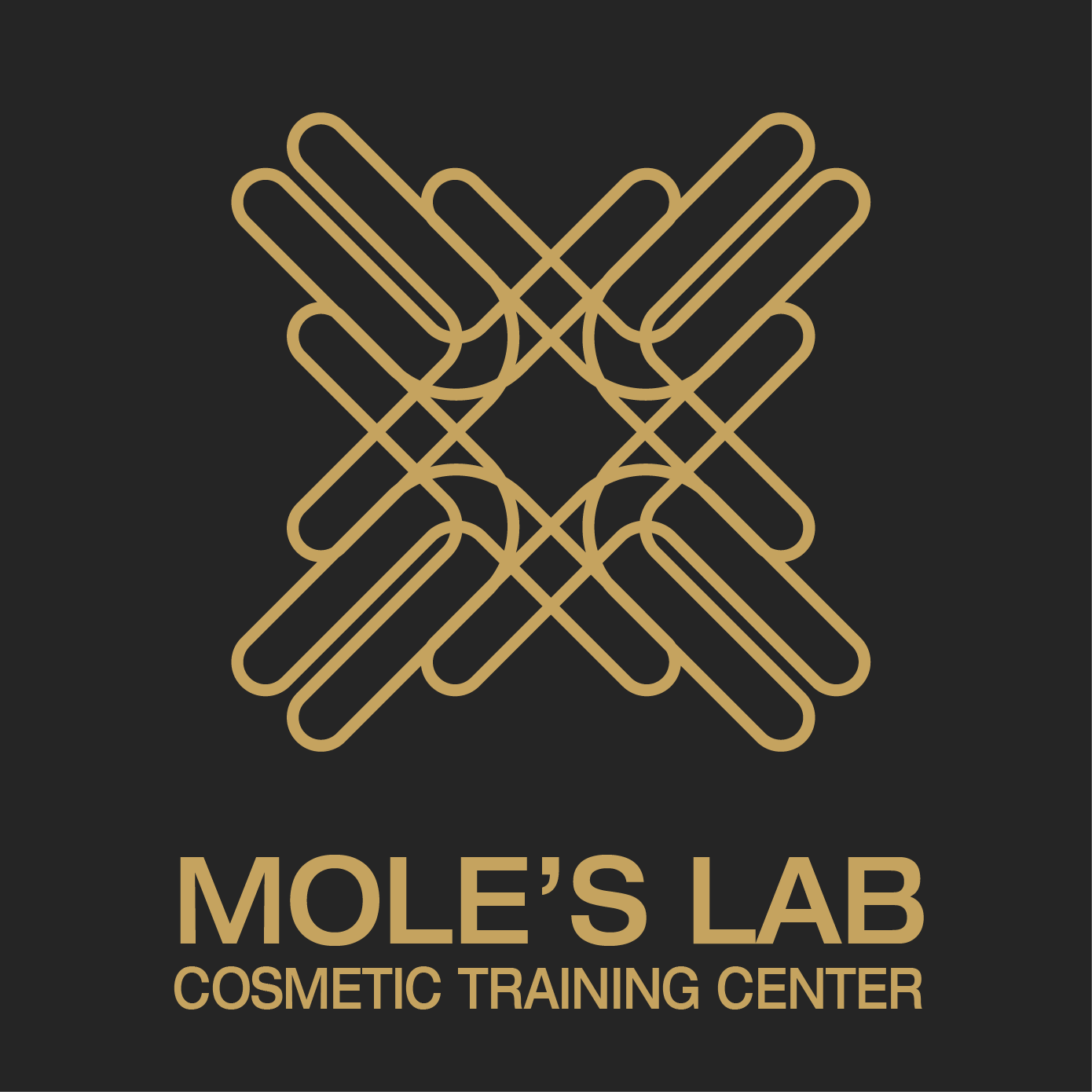 Mole's Lab ศูนย์สอนทำเครื่องสำอาง | Bangkok