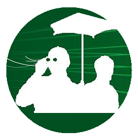Profile for Guzei.com - Online Radio / Online TV