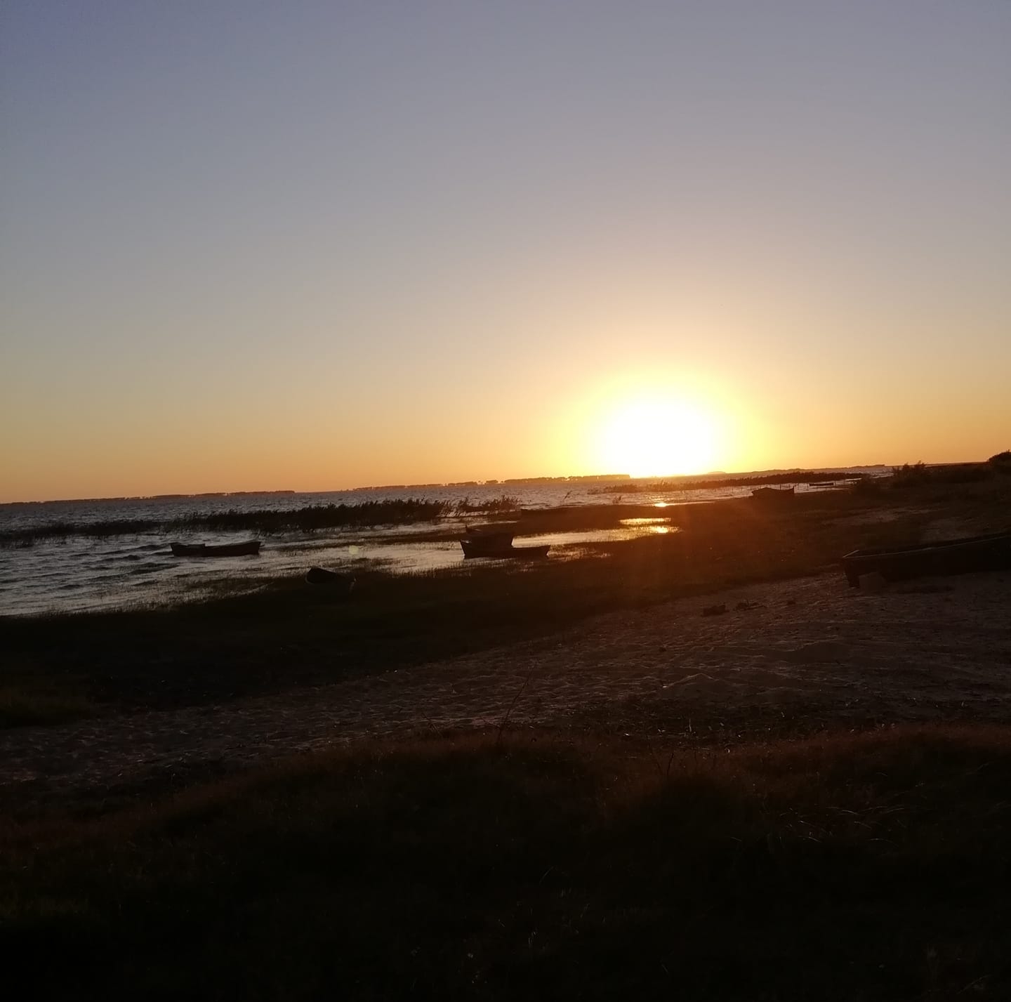 Alf lago merin | Río Branco