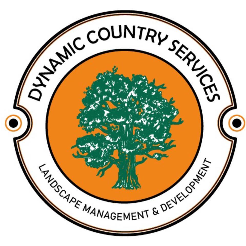 Dynamic Country Services