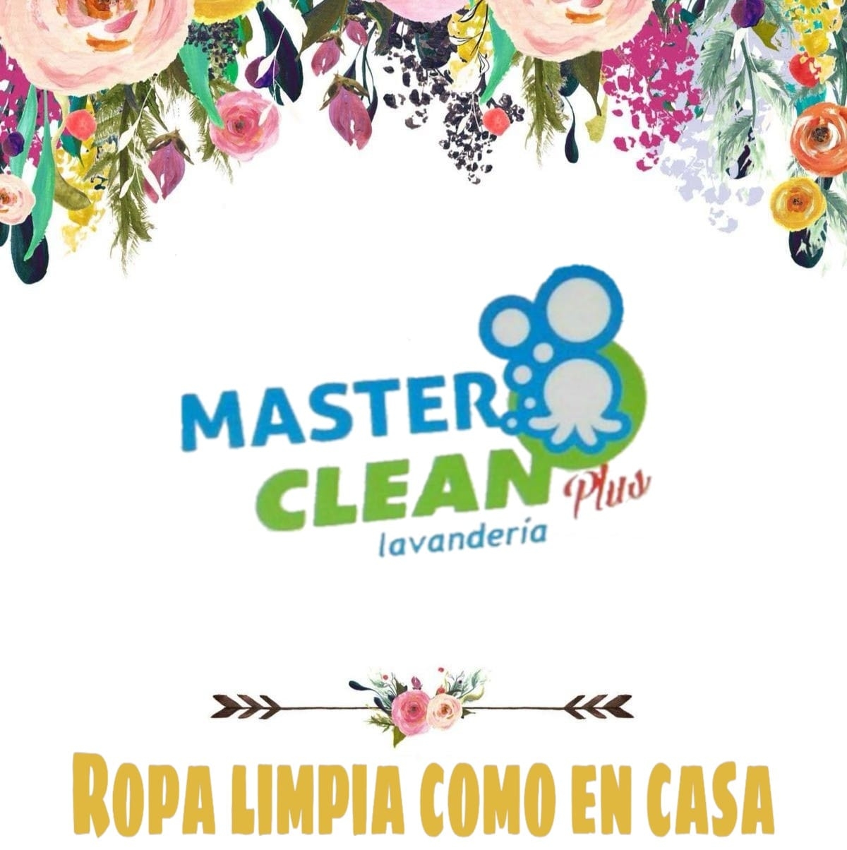 Master Clean Plus Lavandería | Puerto Ceiba