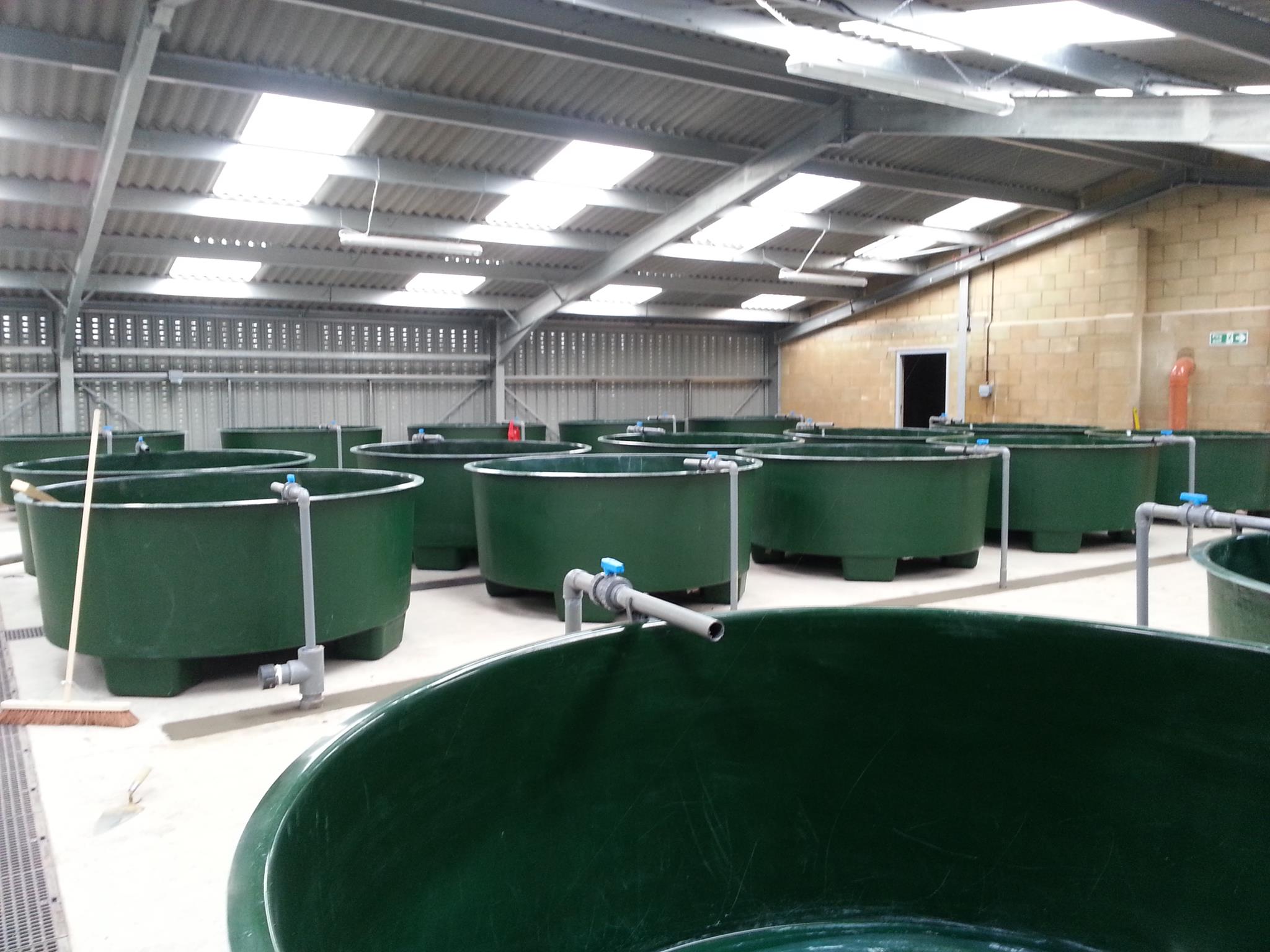 Fish Farming Tanks Non Foldable Octagonal Round Fish Farming