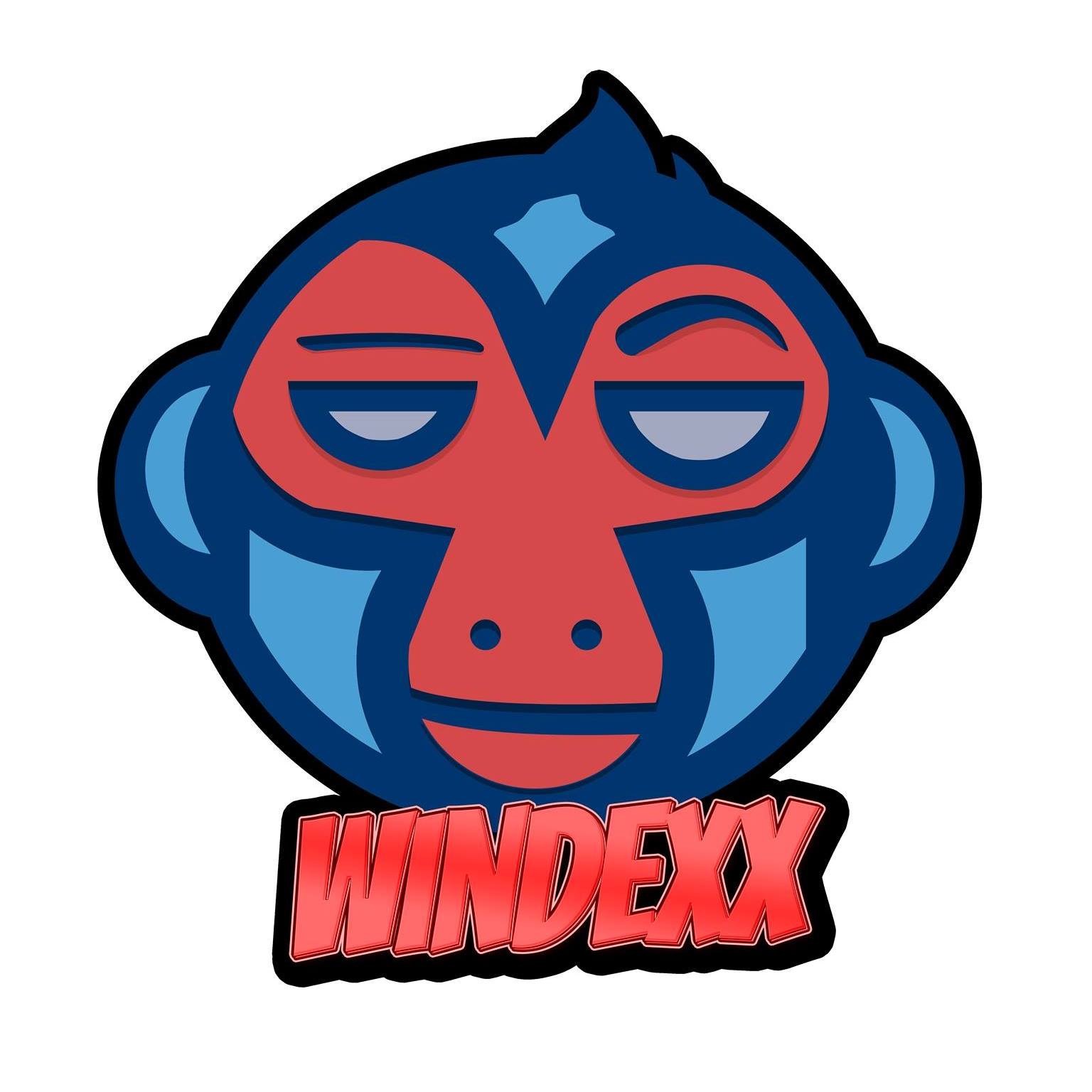 Mr. Windexx