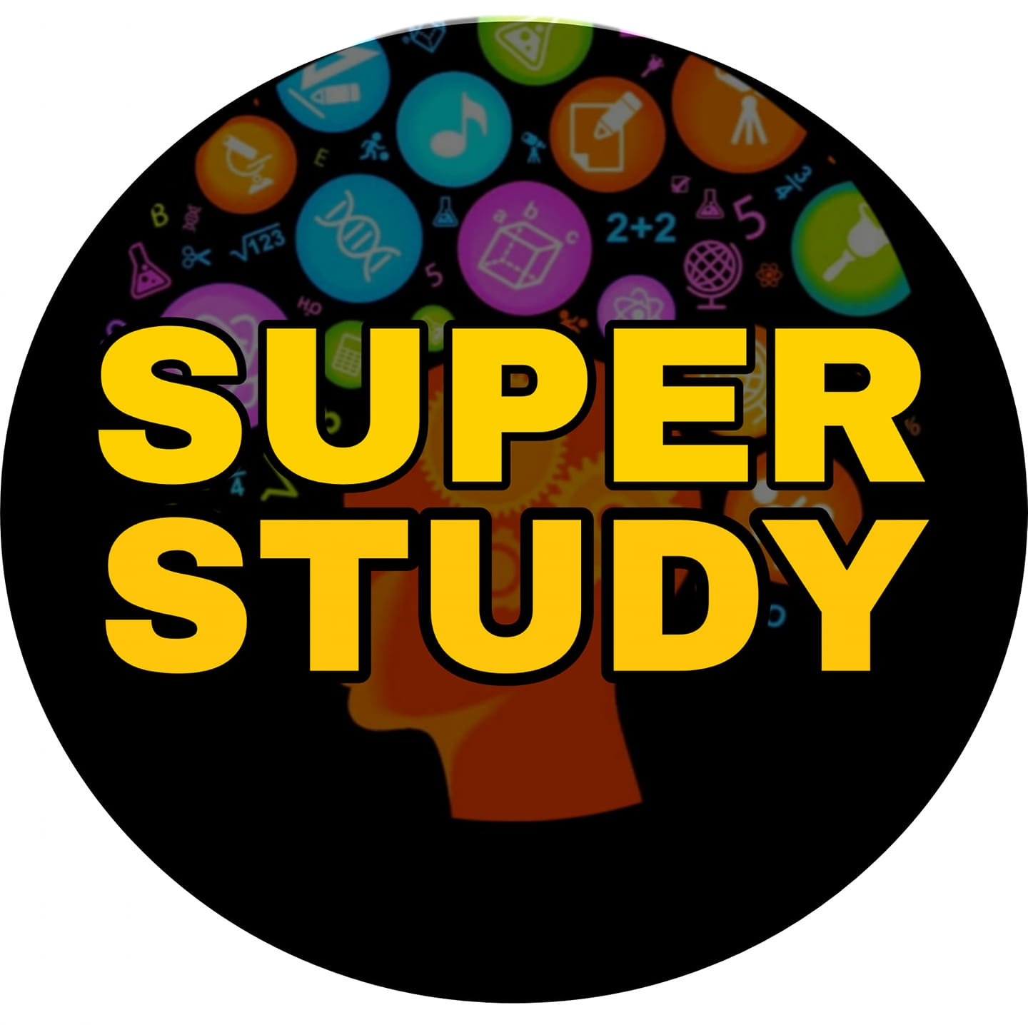 SUPER STUDY | Sitapur