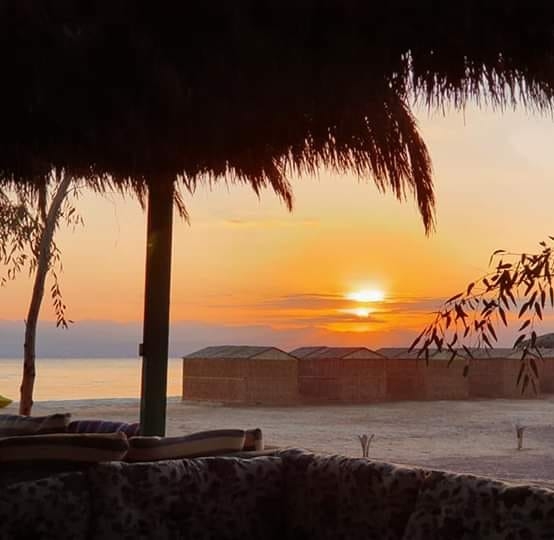 Sayal camp | Nueiba
