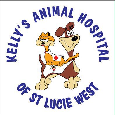 The Kelly's Animal Hospital... - Kelly's Animal Hospital | Facebook