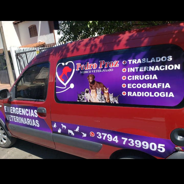 Veterinaria Corrientes
