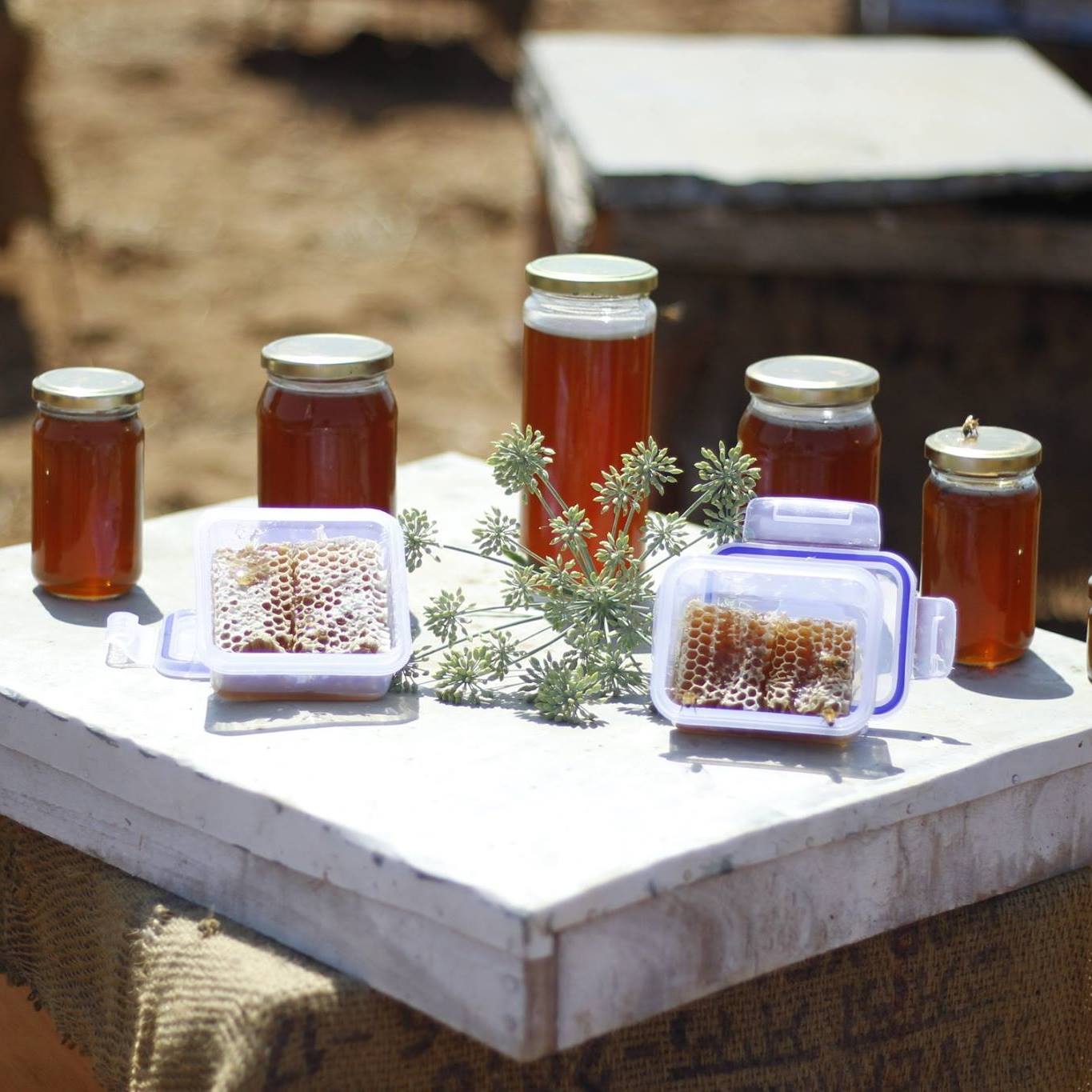 Melania Trump Fans—Community | Think You’re Buying Real Honey | Facebook