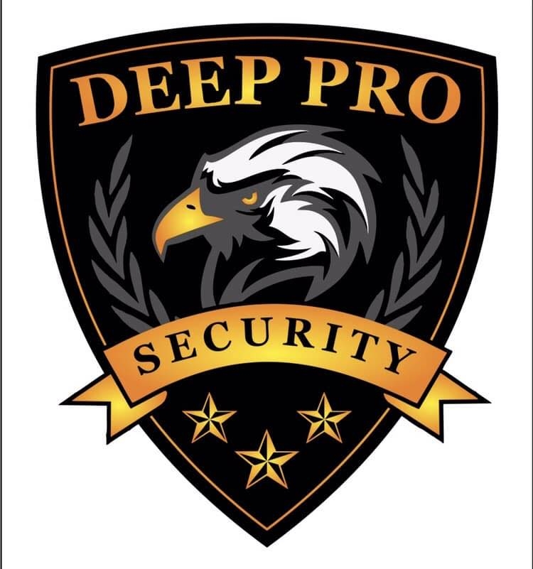 Deep Pro Security 9779781812-9780832321