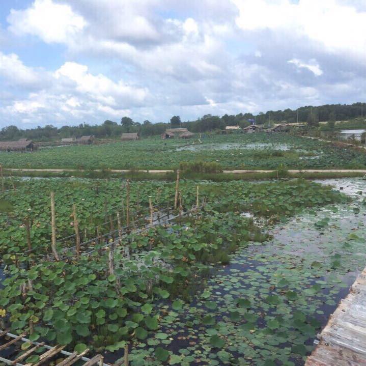 Diêm Tham Quan Ao Sen Suối Lon Dương To Phu Quốc