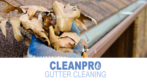 Sitemapcdatahttpsabckniqoocomgutter Cleaning Memphis Mr Gutter Cleanernull