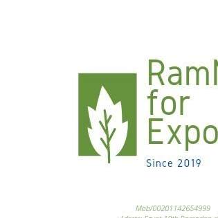 RamNil | Zagazig