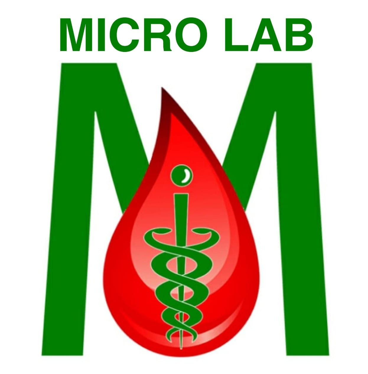 Micro Lab