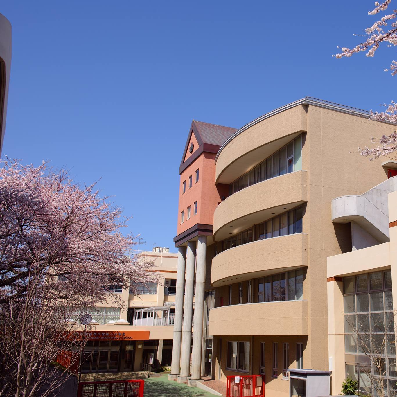 千葉日本大学第一小学校・習桜会 | Funabashi-shi Chiba