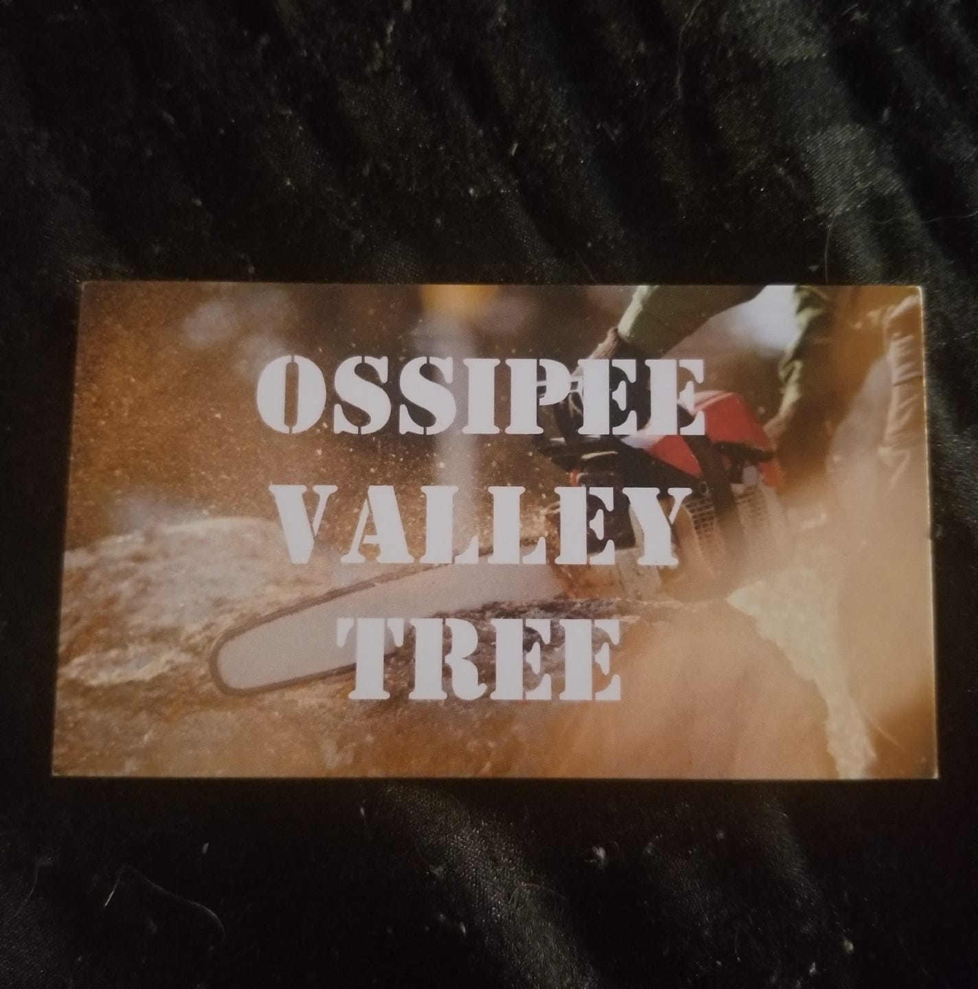 Ossipee Valley Tree