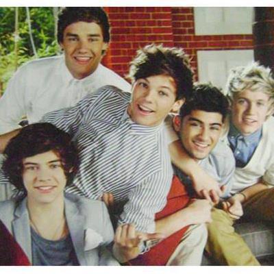 One Direction es mi vida