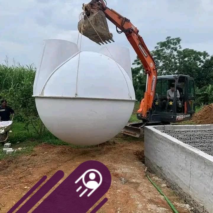 Cho em hỏi rắn này rắn gì ạ | Facebook