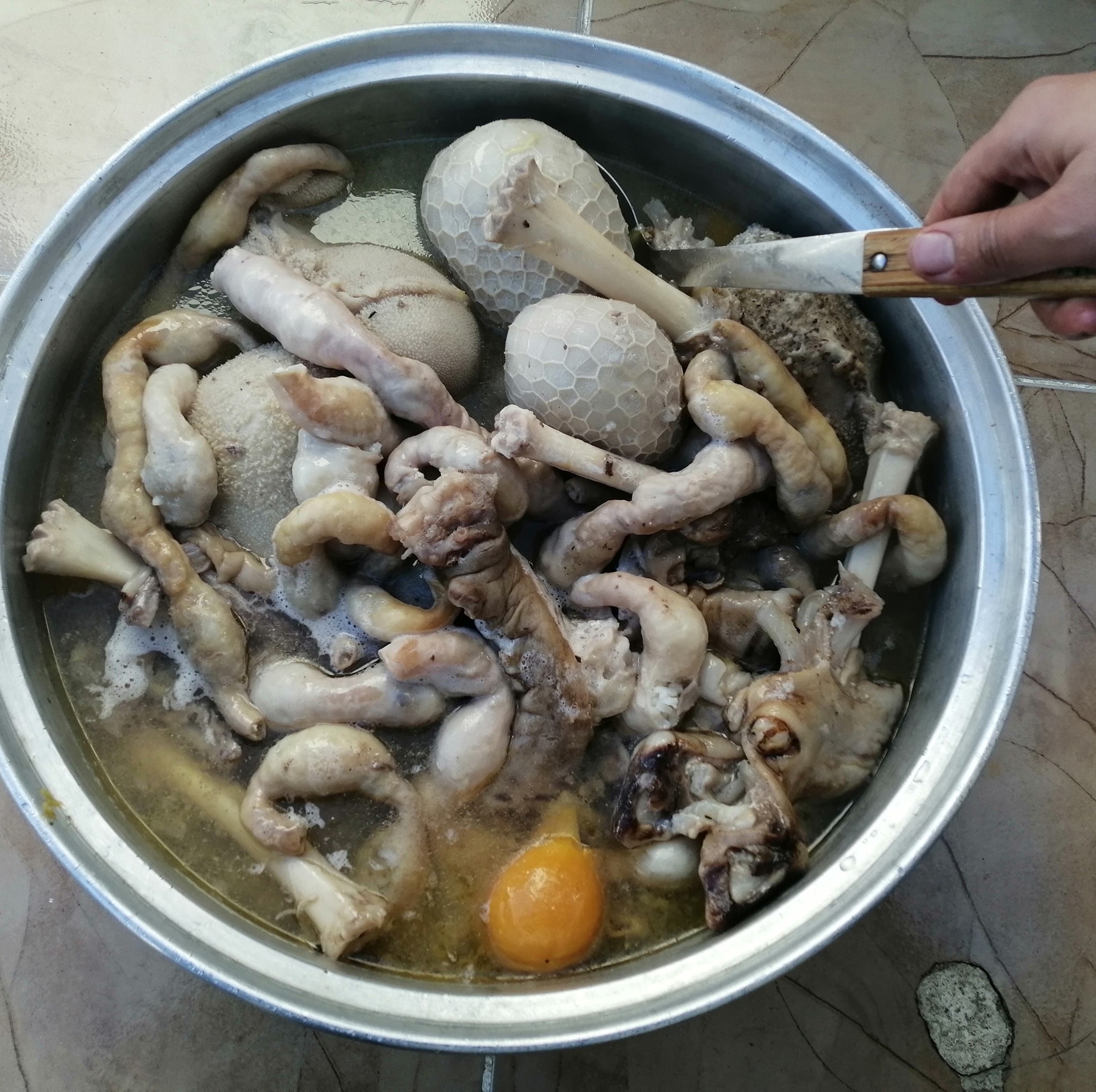 Pachay batam پاچەی بەتام