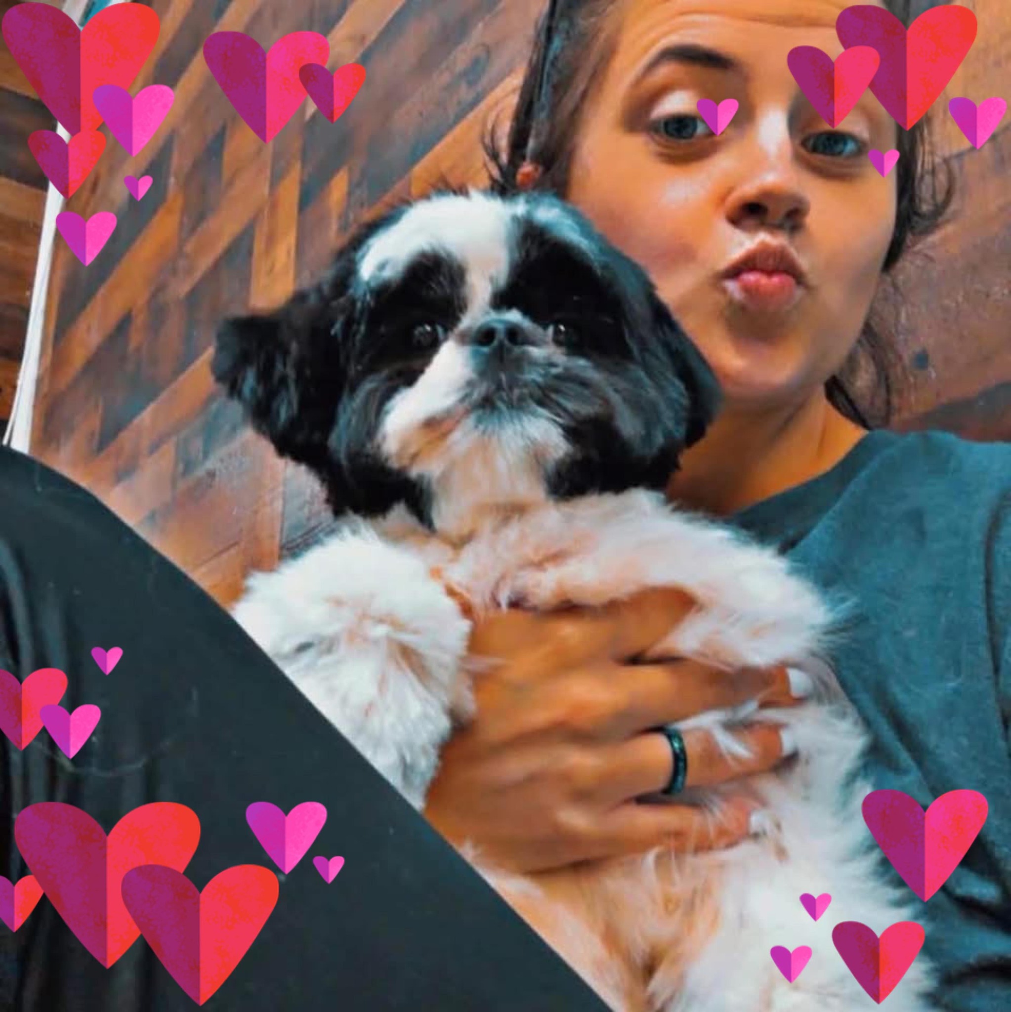 Sassy Pups Grooming | Mount Holly NC