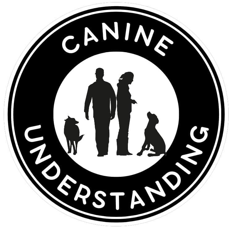 🐾 Did you know your dog can learn to file their own nails? 🐾 🤯 A ...