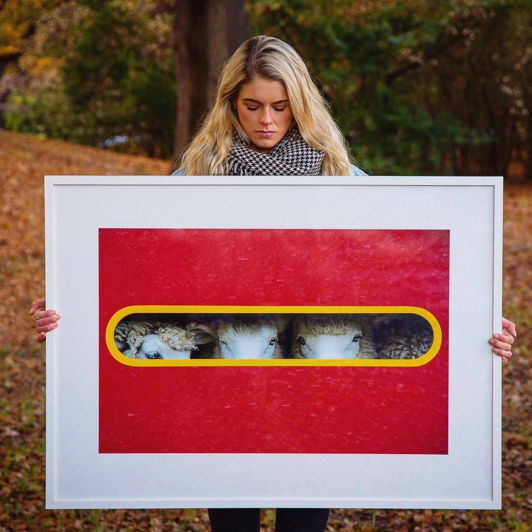 Elise Rutherford Photography
