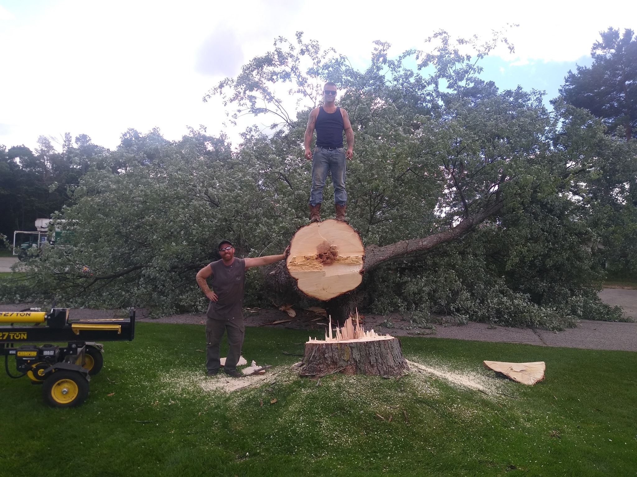 Alpine Tree Service | Gaylord MI