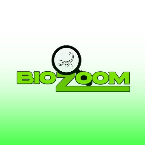 BioZoom