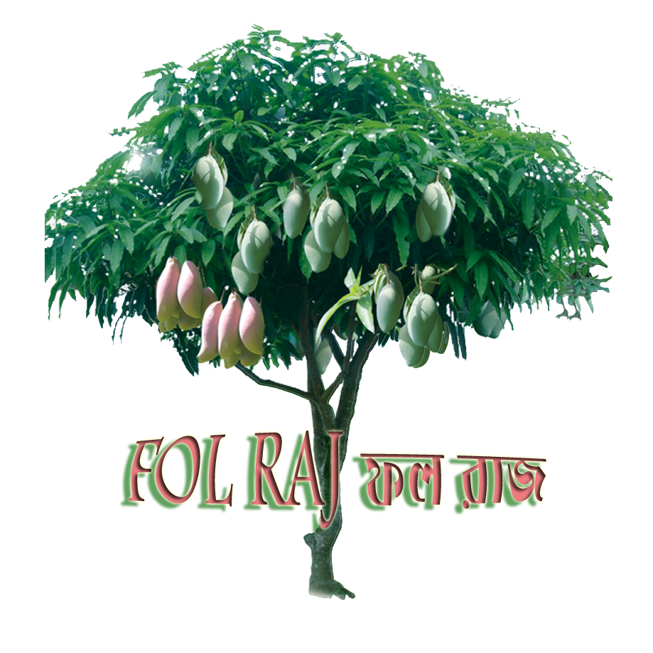 FOL RAJ ফল রাজ | Rajshahi