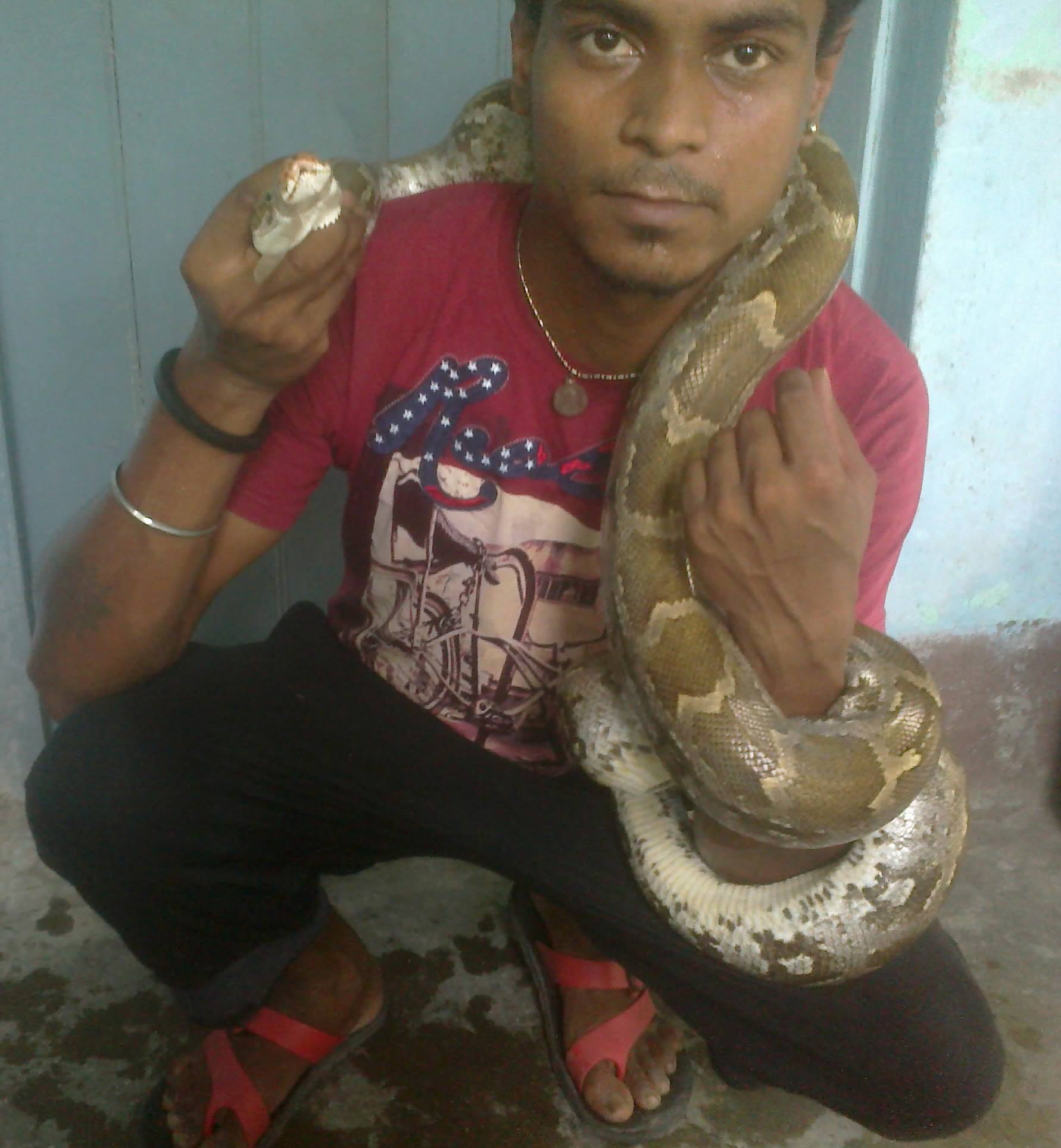 Sanjay Snake Catcher