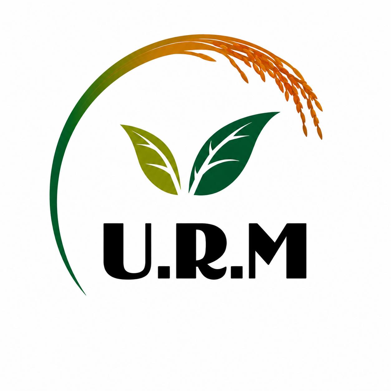 Usman Rice Mills | Ahmedpur Sial