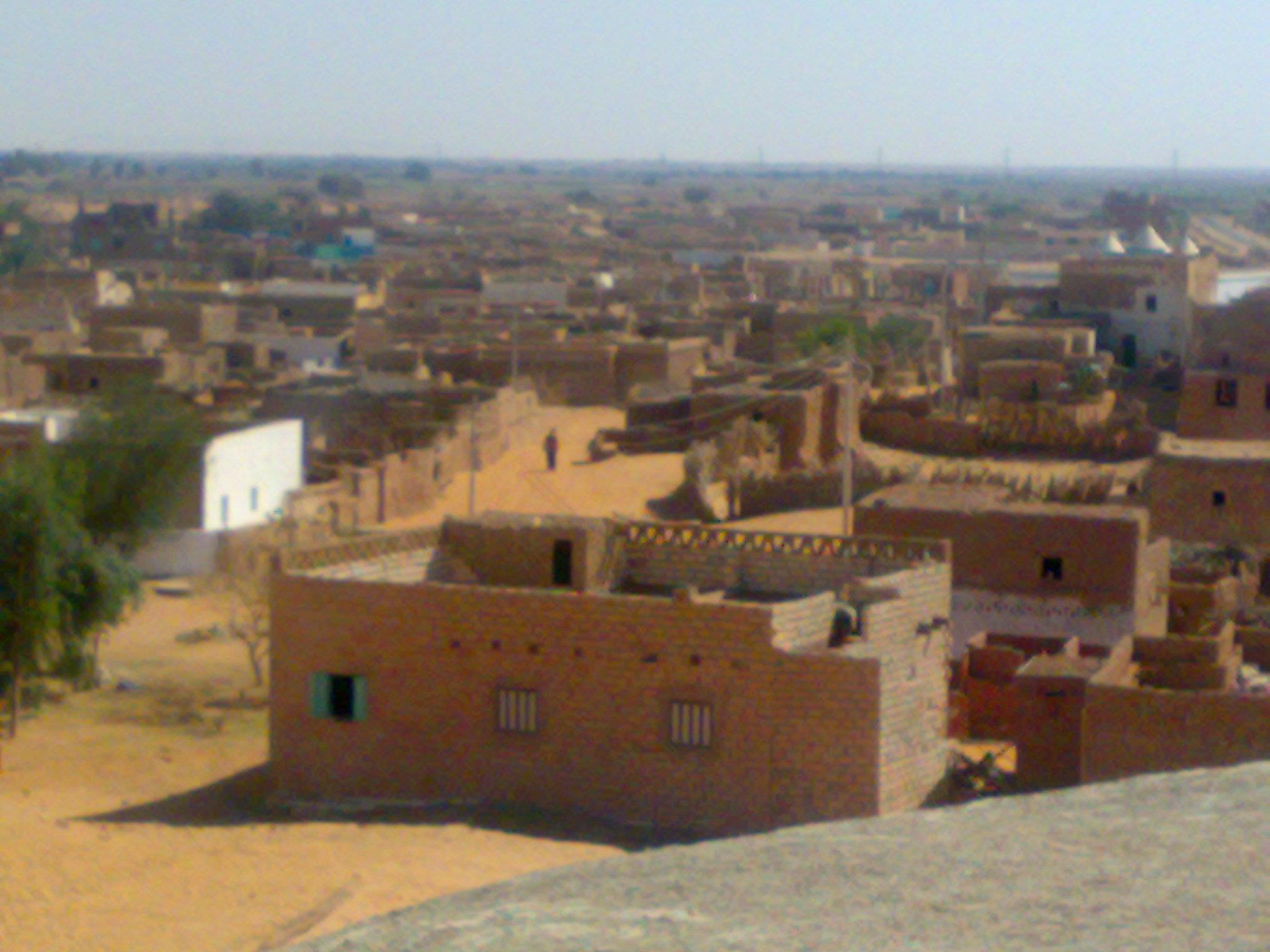 اخبار الوادى الجديد