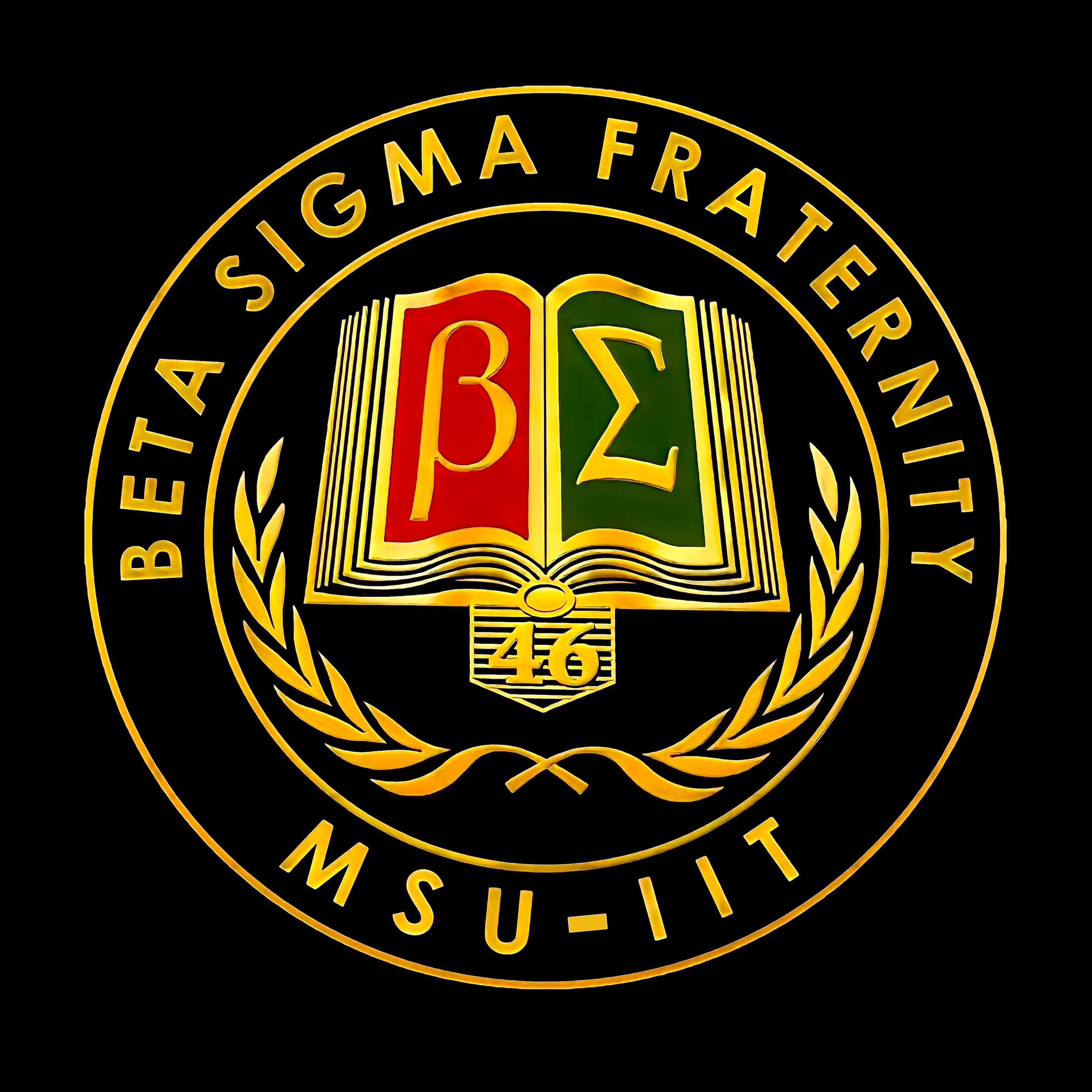 MSU - IIT Beta Sigma Fraternity